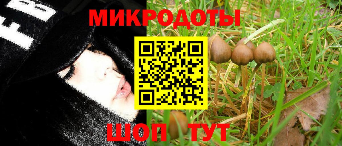 Галлюциногенные грибы Magic Shrooms Альметьевск