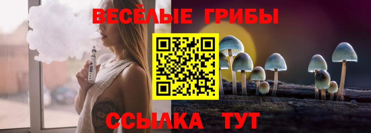 Галлюциногенные грибы Psilocybine cubensis  Вход с VPN  Альметьевск 